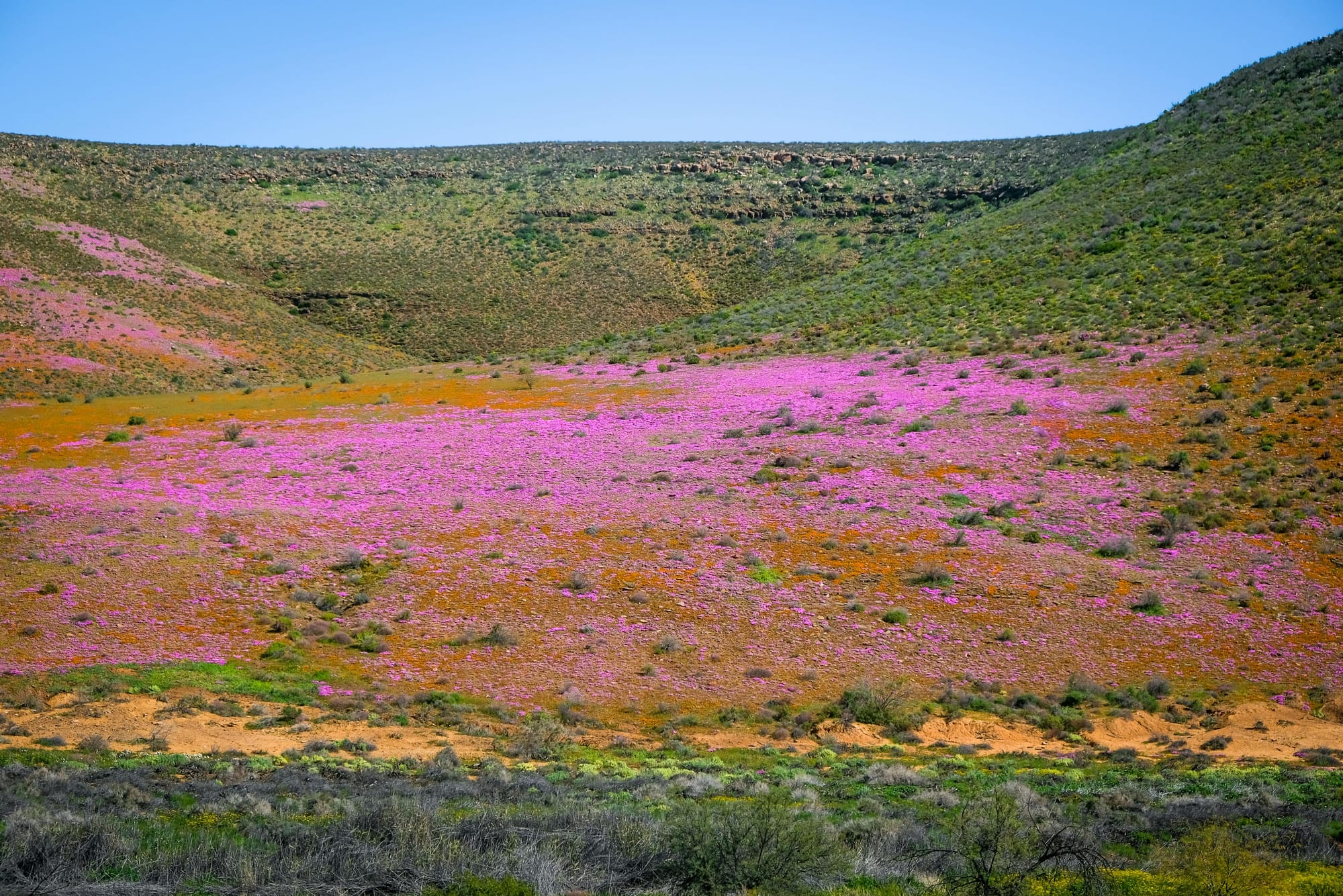 namaqualand south africa