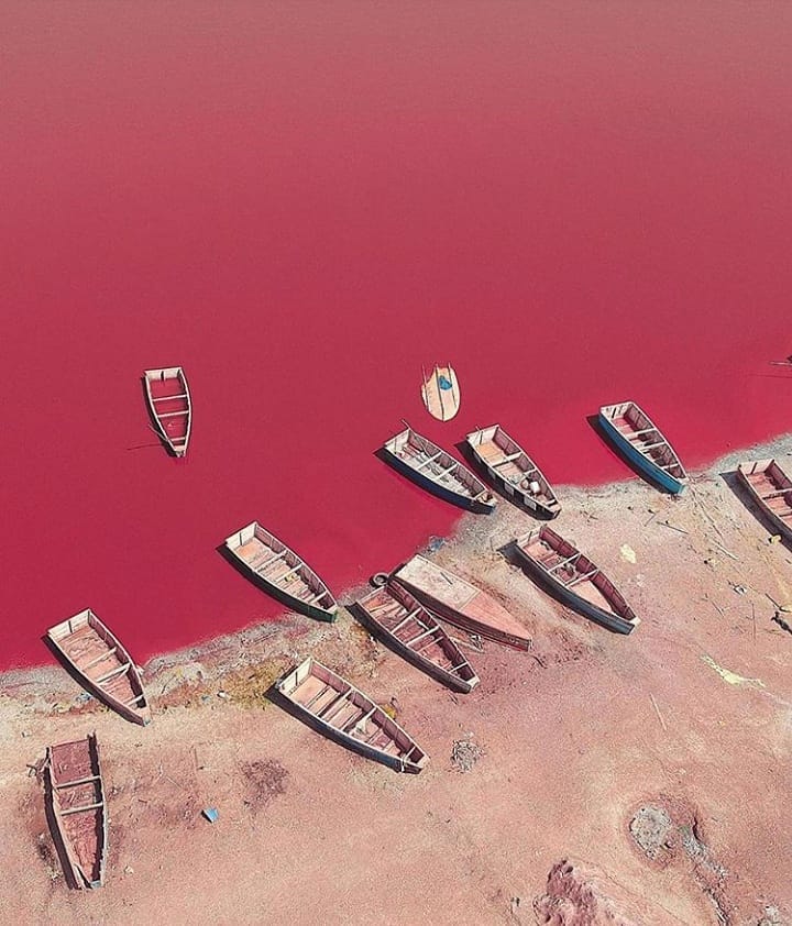 lac rose senegal, pink lake in africa