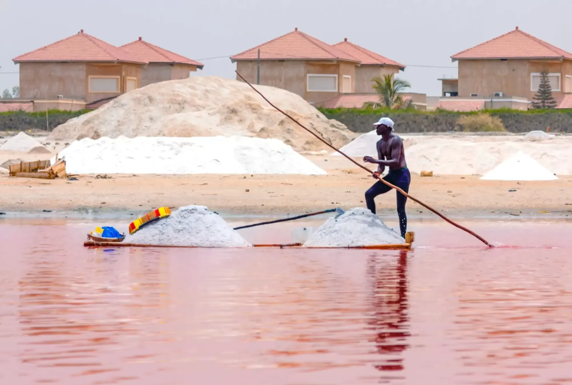pink lake salt harvest