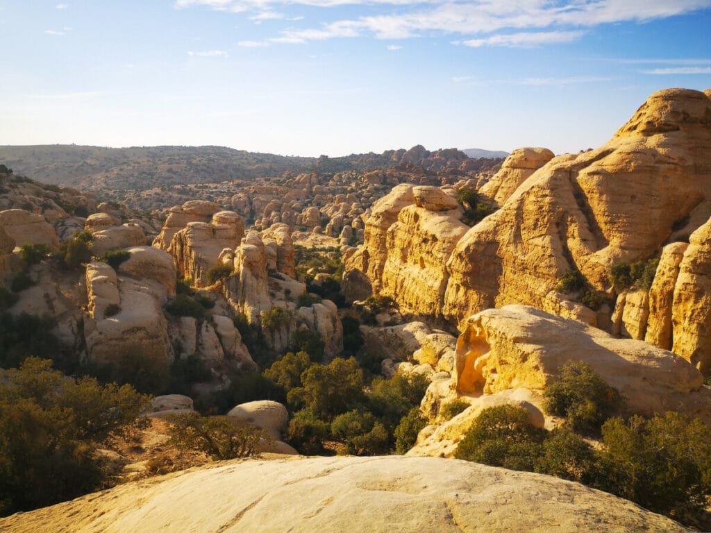 panoramic view from Dana Biospehre in Jordan