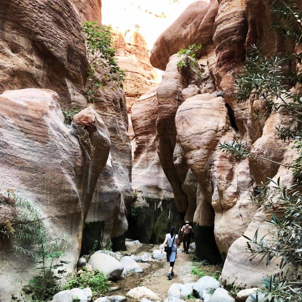 dana biosphere reserve