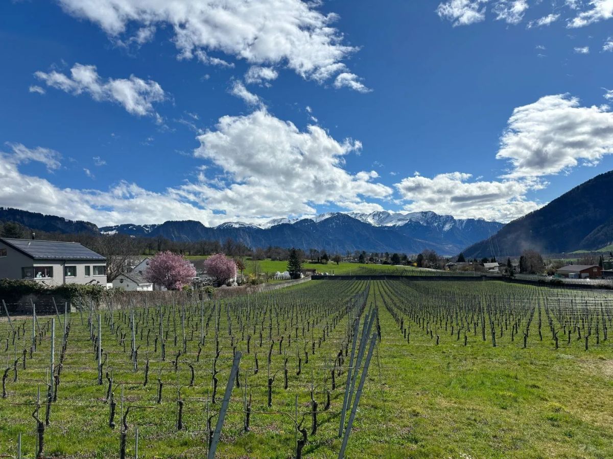 Visita a la casa de Heidi en Suiza (guía definitiva)
