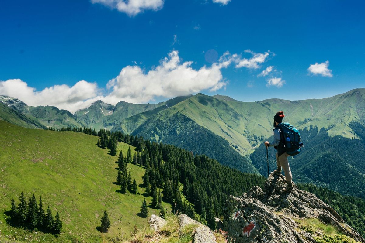 Journal of Sustainable Tourism