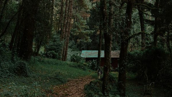 hoteles en valle de brav