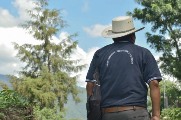 guatemala coffee farm