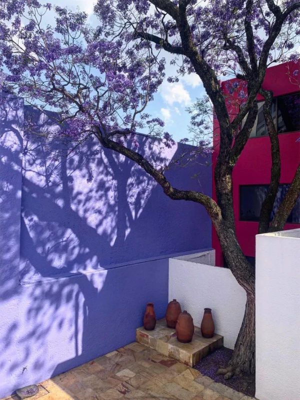 QUÉ HACER ESTE FIN DE SEMANA EN CDMX