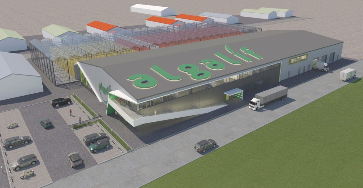 Algalif to invest 30m$ in expanding its production facilities