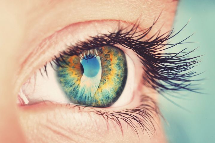 Oculis raises $57m Series C led by BVCF Management and Hyfinity Investments