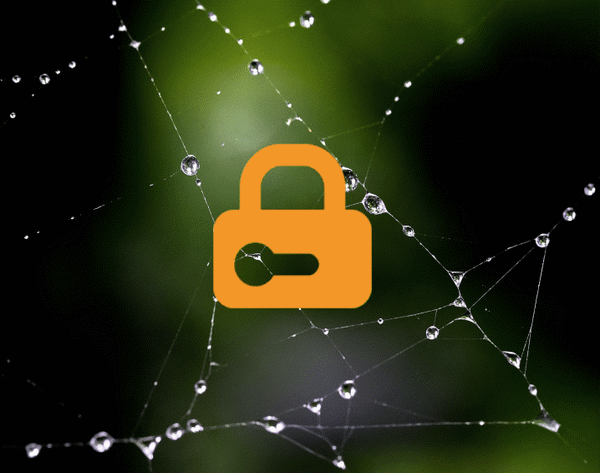 Security between  microservices - Which protocol ?