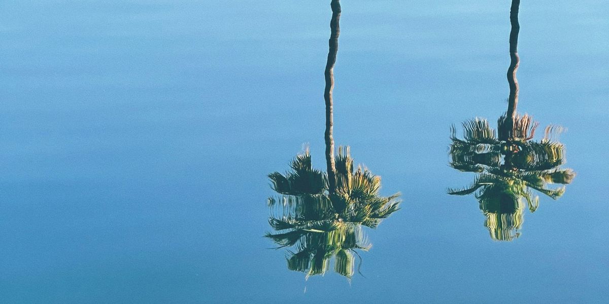 Reflections on 2025