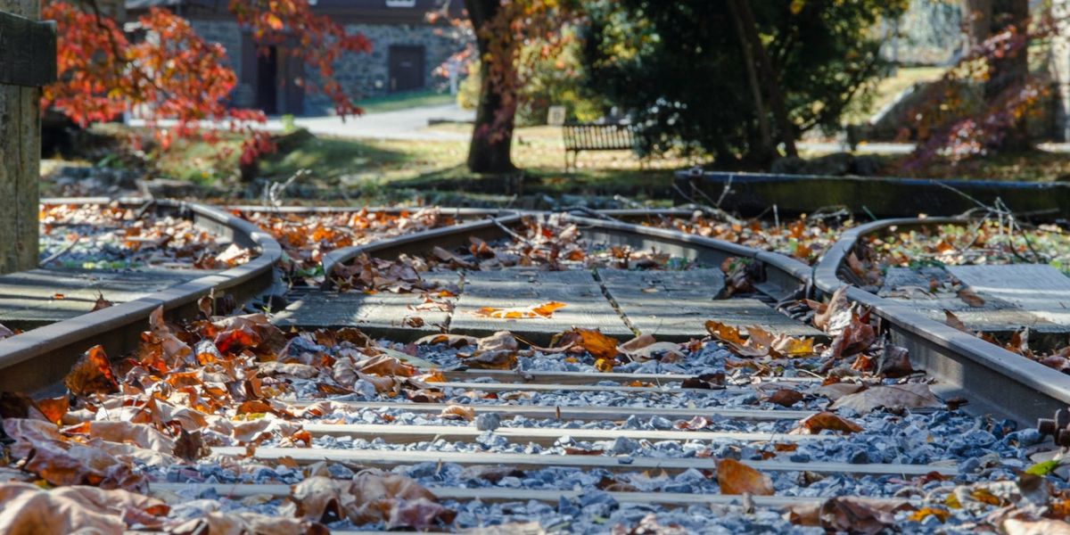 The Fallacy of Always Wanting to Do More