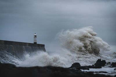 Weathering the Storm of AI