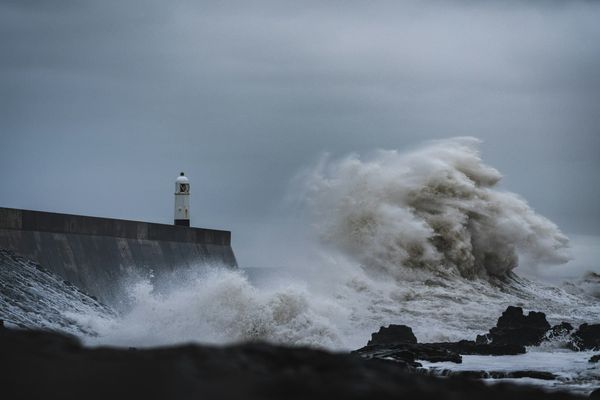 Weathering the Storm of AI