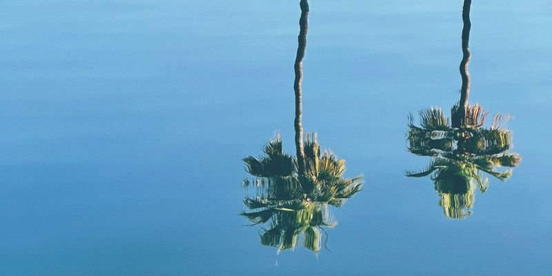 Reflections on 2025