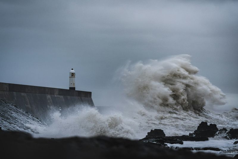 Weathering the Storm of AI