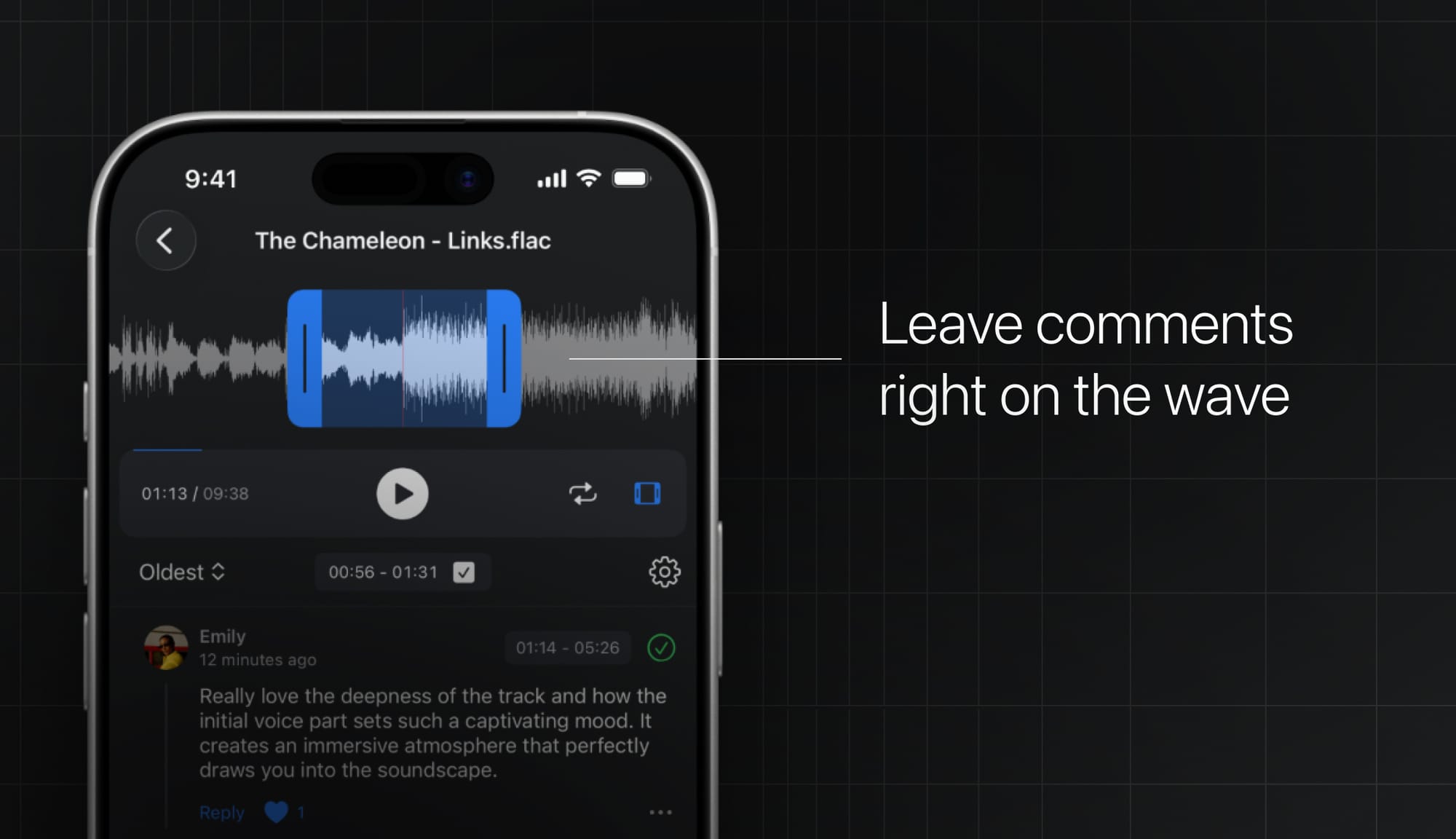 Pibox iOS app comments on waveform