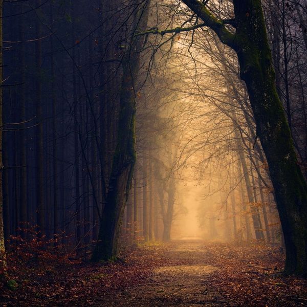 Through the Darkness, Comes the Light