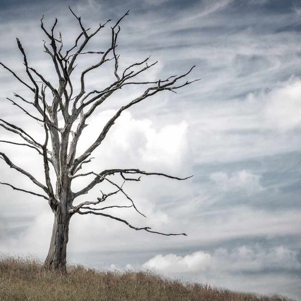 Enduring the Suck: Finding Strength in Life's Darker Seasons