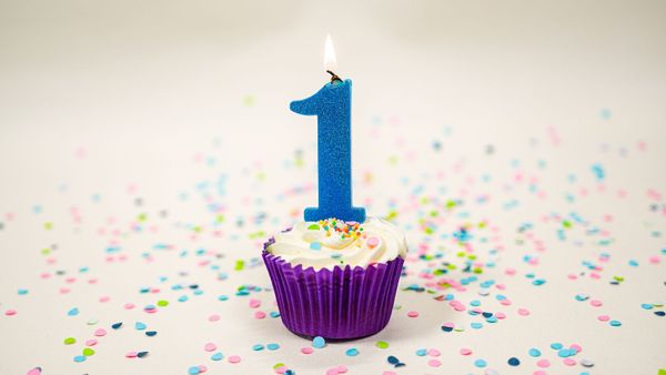 Anniversary Edition: Celebrating One Year of Collective Empowerment