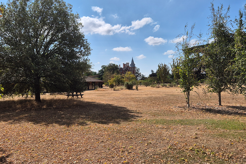 Taplow Court – planning for a hotter, drier future