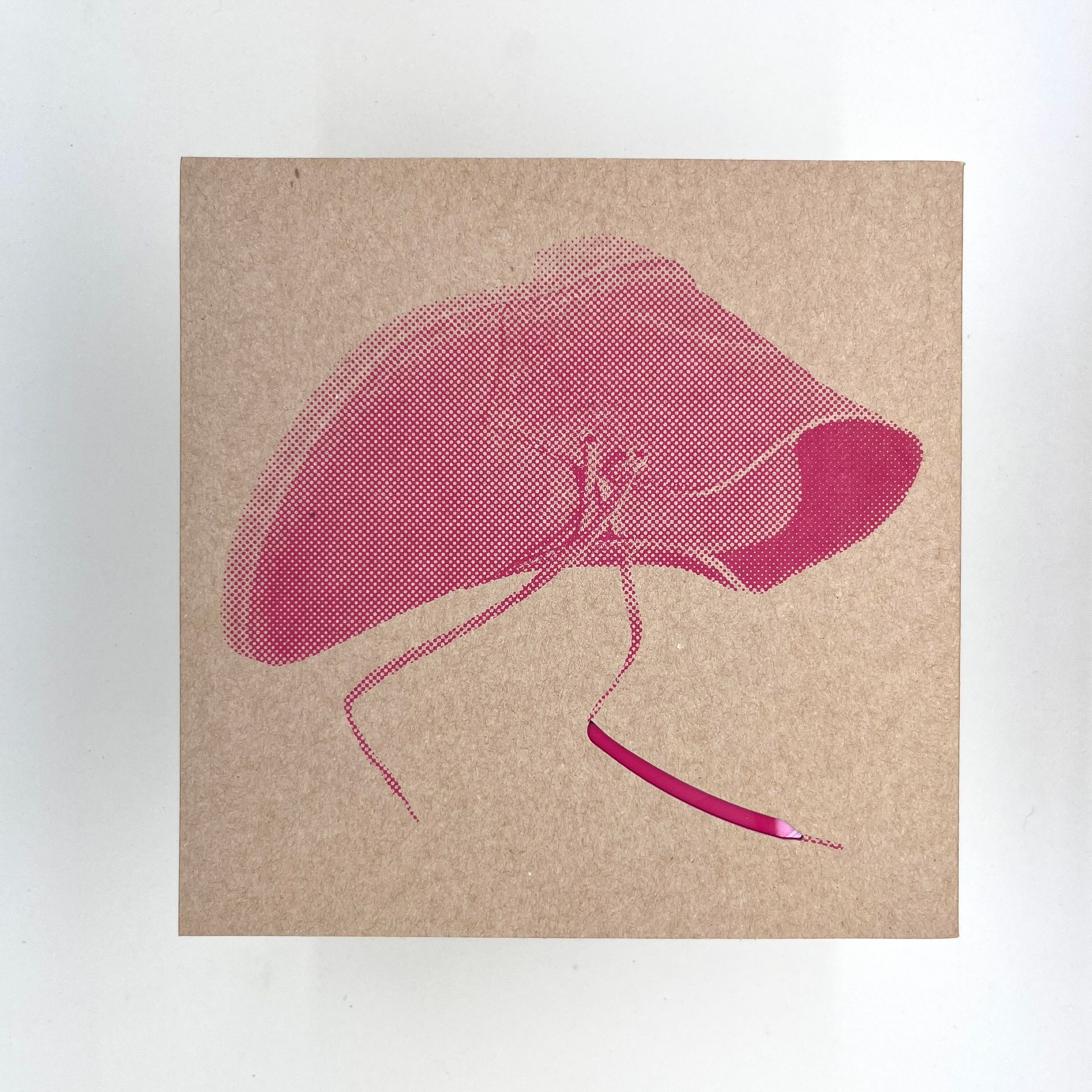 Clarks Originals vinyl