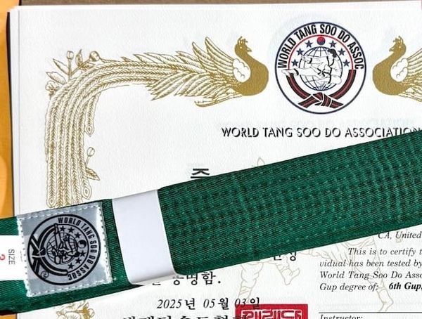 Spring 2025 Gup Promotions