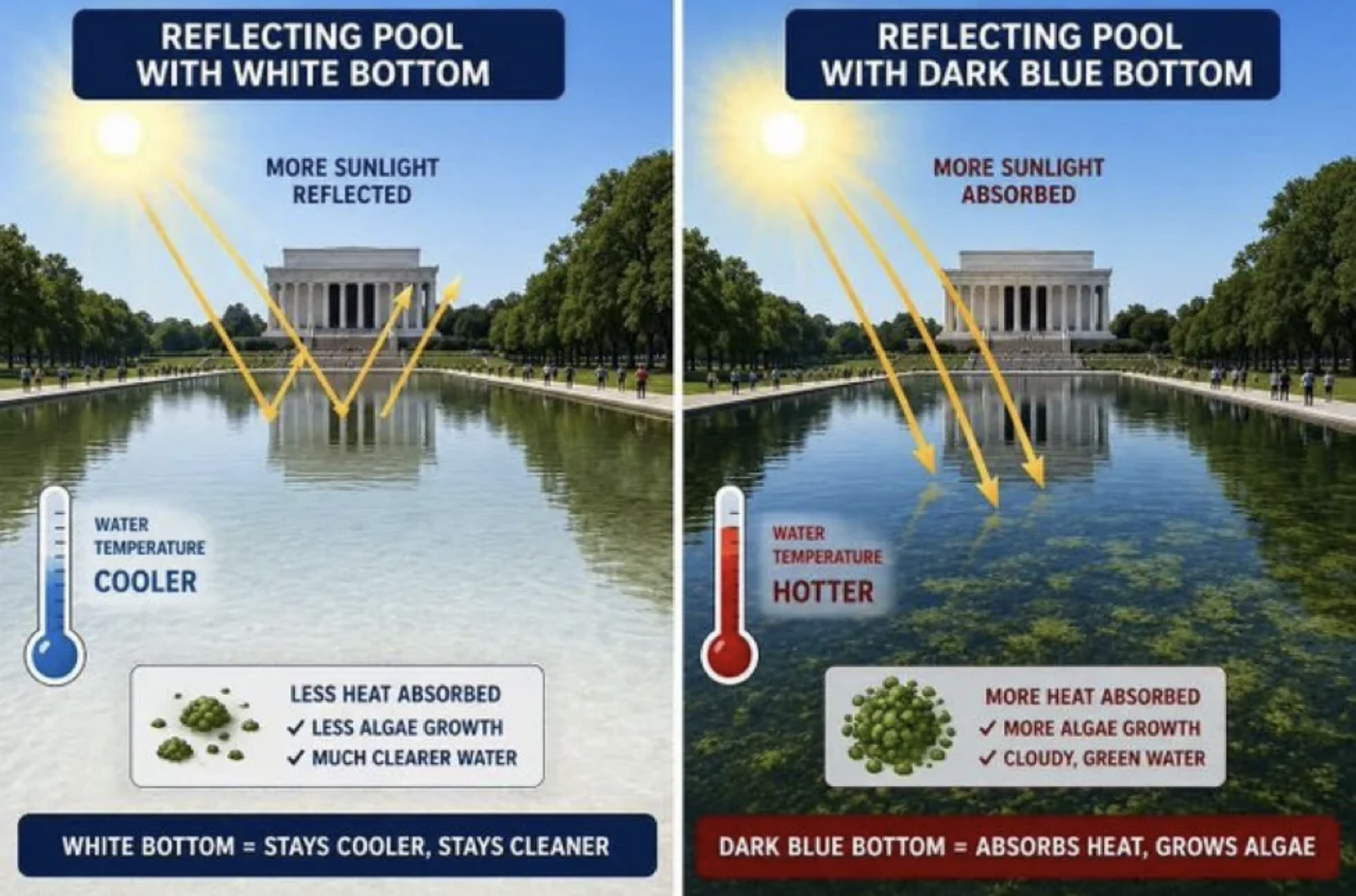 Internet meme shows how science could have predicted this Trump disaster