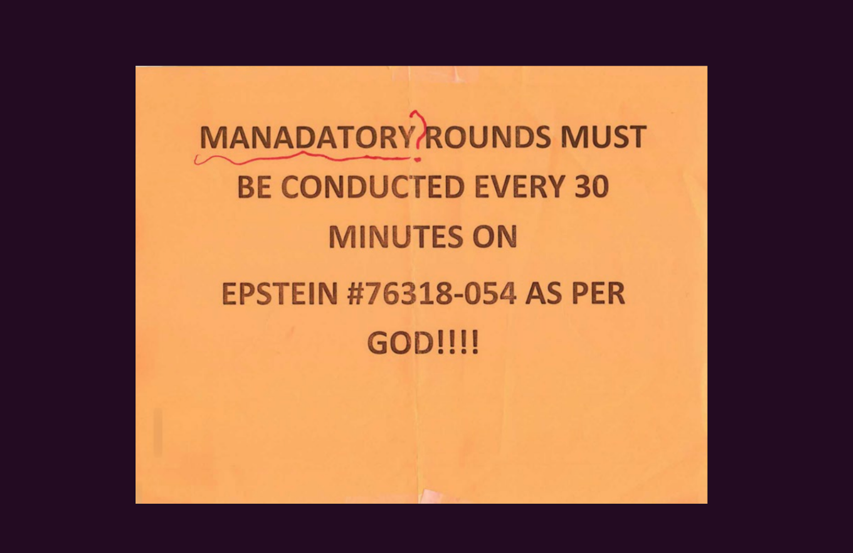 Who Killed Jeffrey Epstein?