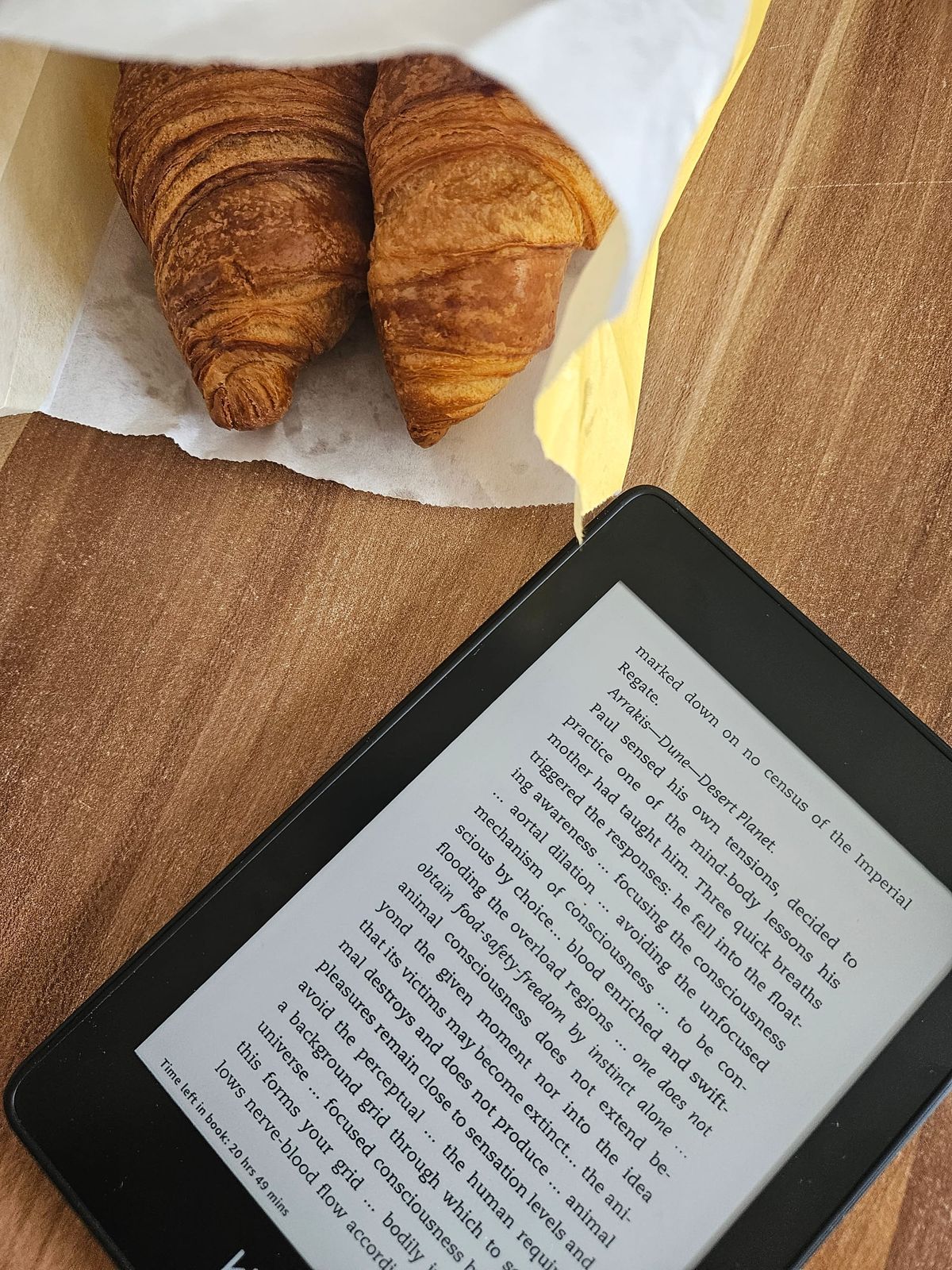 Kindle and Anki for language learning