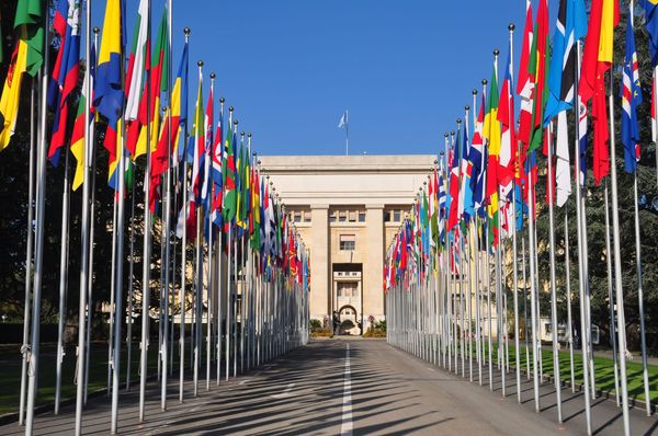 UN experts: Epstein files may meet crimes against humanity threshold. No independent international investigation has followed.