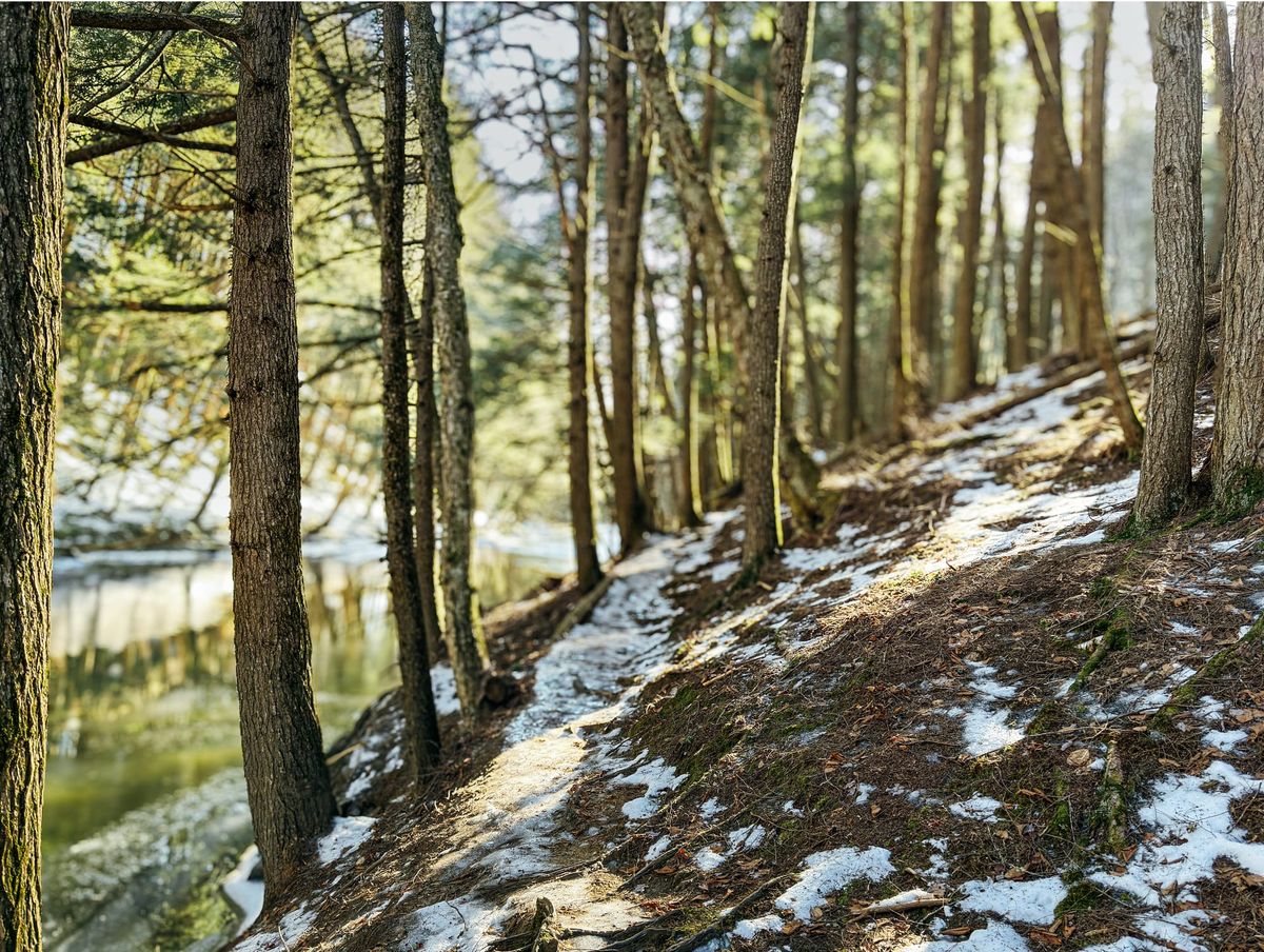 Local trails group adopts formal structure for sustainable trails management