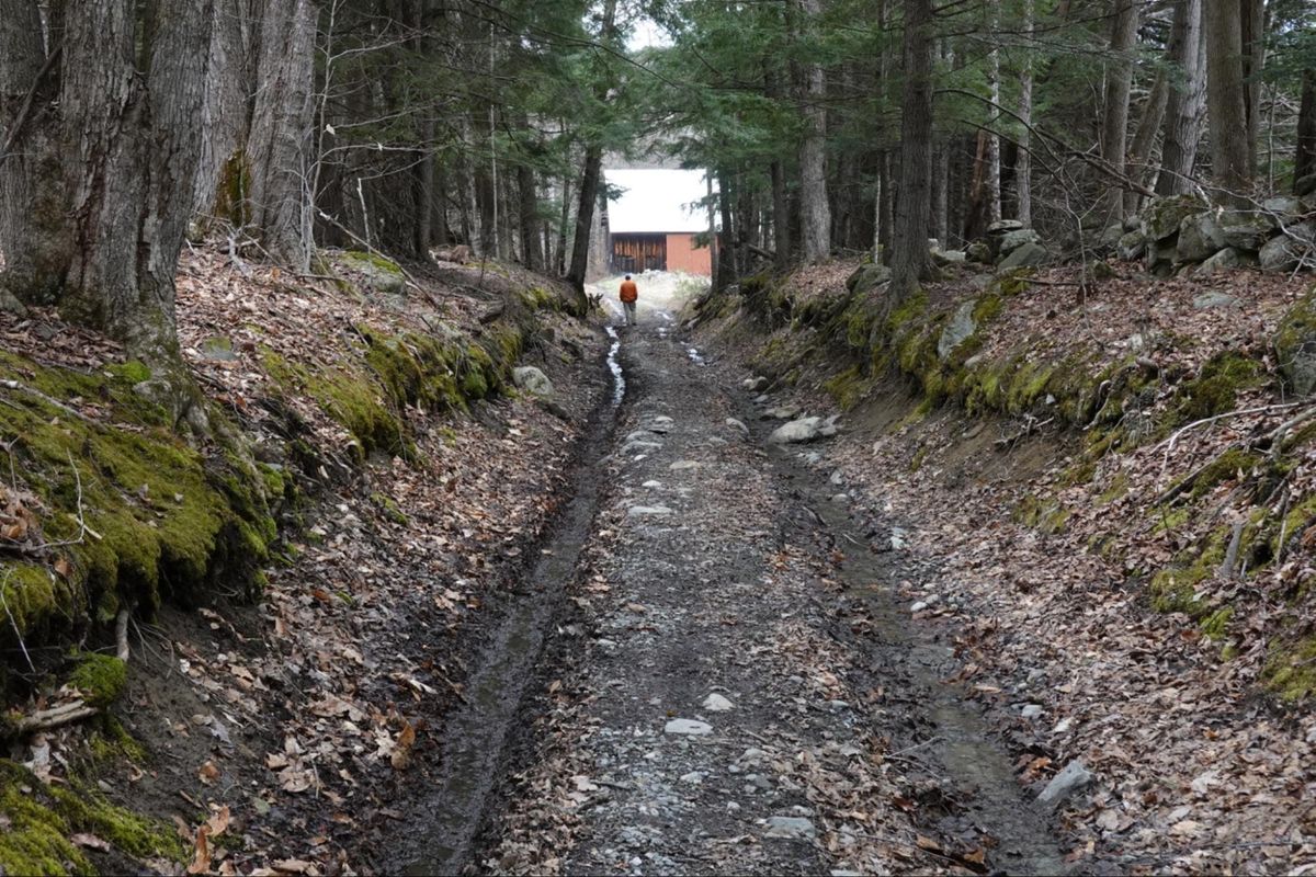 Many inputs make a Forest and Land Management Plan