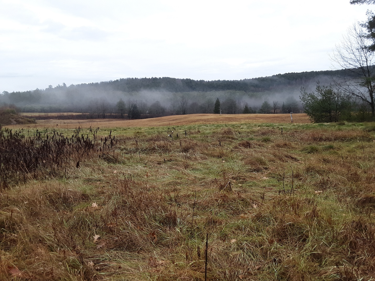 Solar project proposed for closed Post Mills landfill on life support
