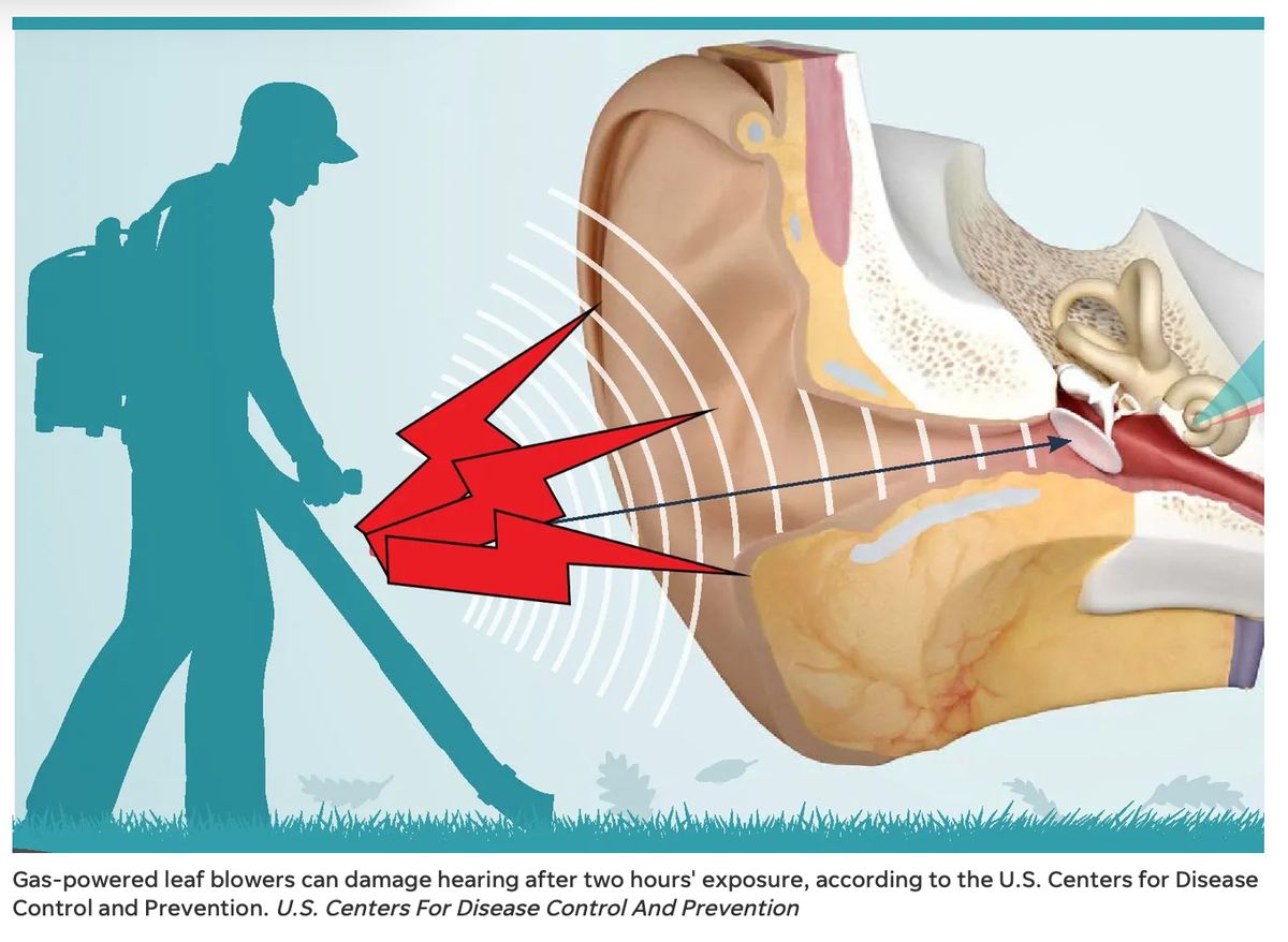 Blown away! Thetford Selectboard addresses leafblower complaint