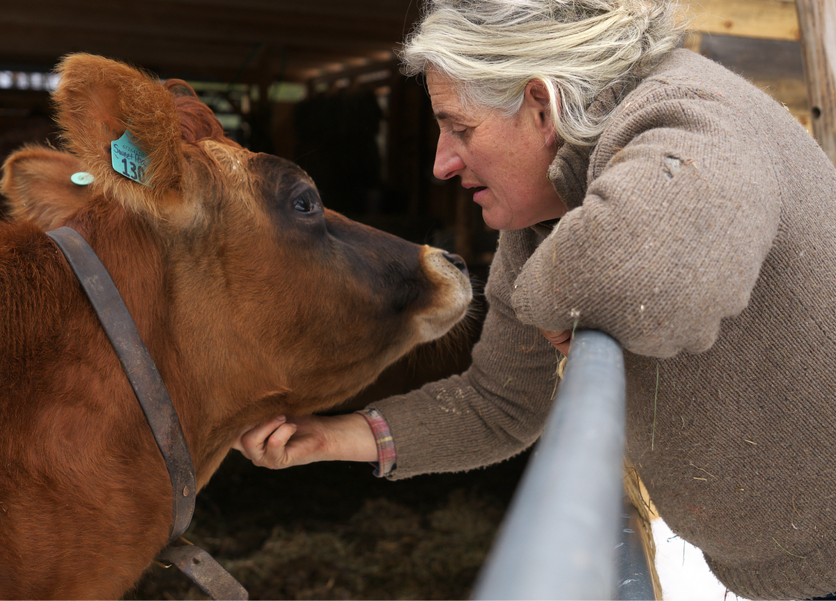 RE: Robert F. Kennedy recommends raw milk. NYT 03/31/2026