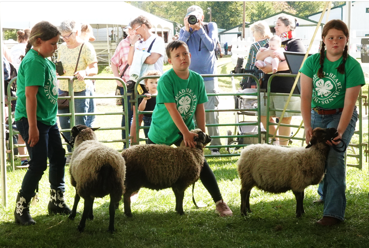 Thetford 4H revitalizes Tunbridge Fair sheep show program