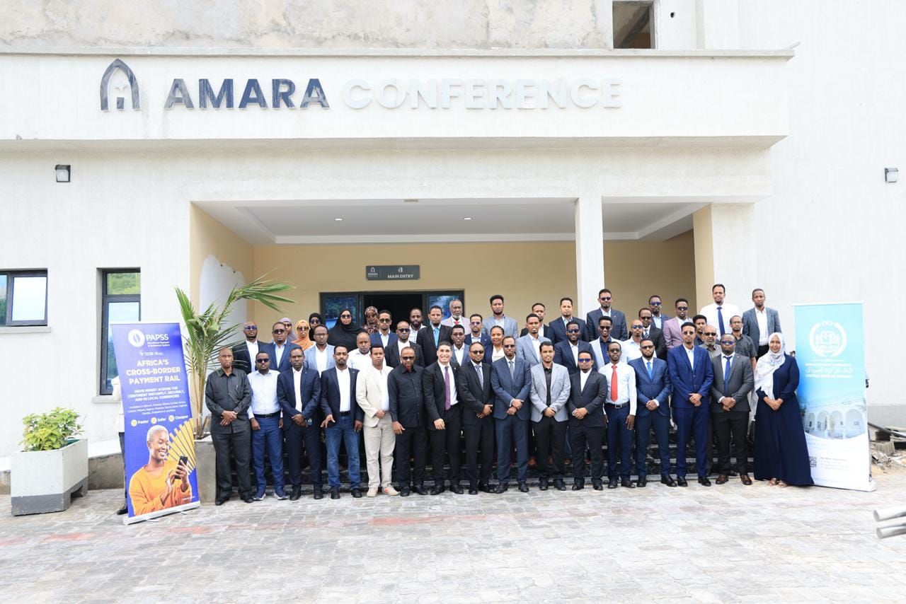 Somalia draws its banks into pan-African payments network