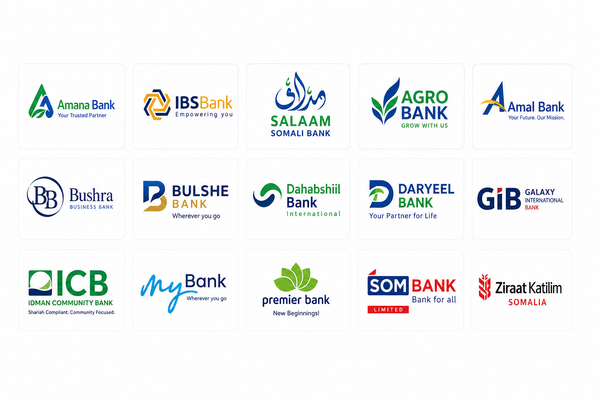 Somalia's banks, between recovery and fragility