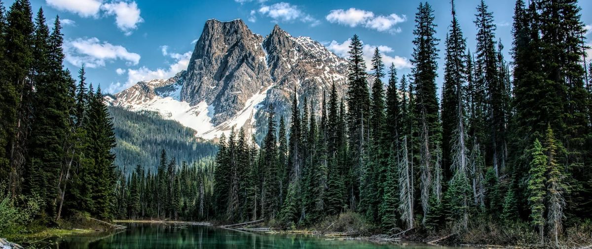 Wellness Programs – Providing the Work-Life Balance Employees Need