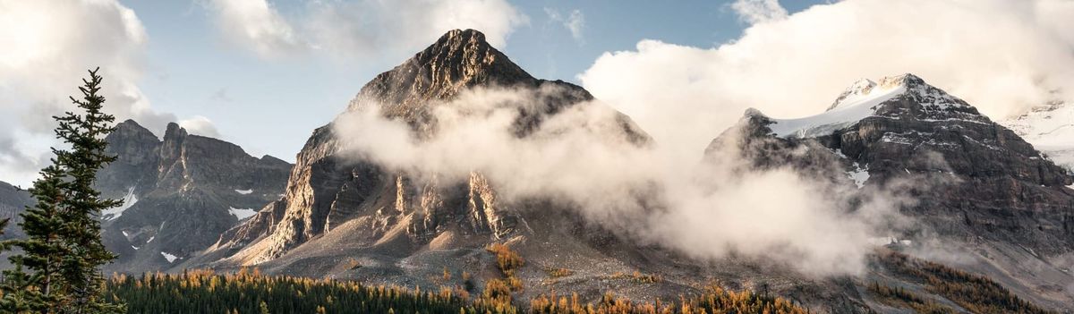 Wait... your HSA can do that?