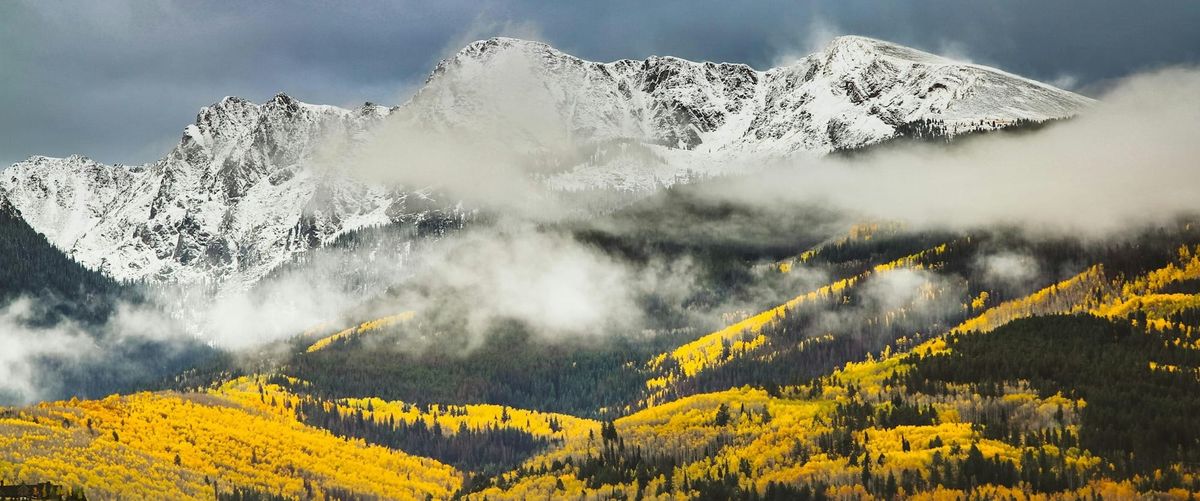 The history of Group Benefits