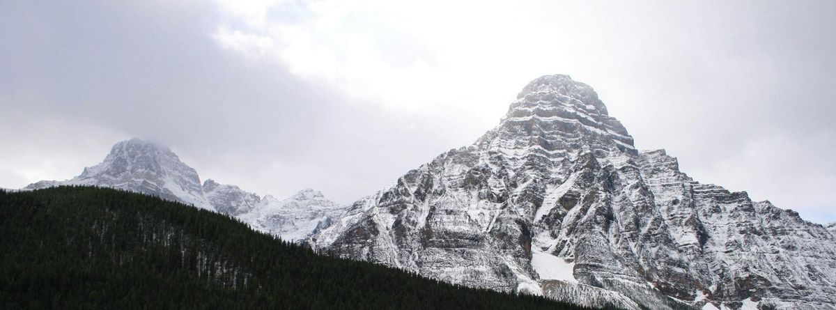 Don't wait until your renewal