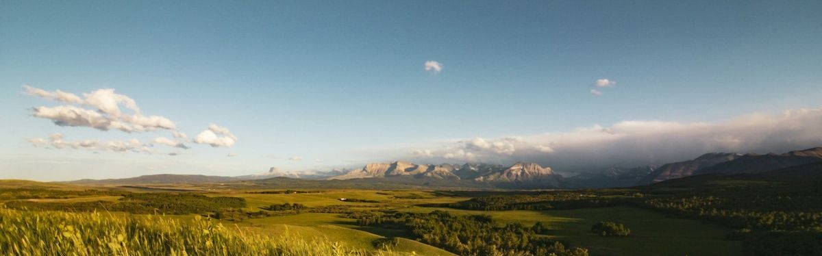 The Plan Member's Journey