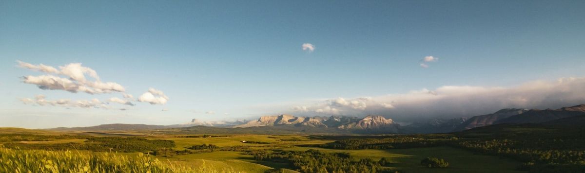 Inflated Plans: Why they don't work