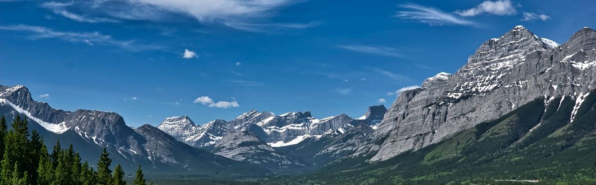 What is Quiet Quitting?