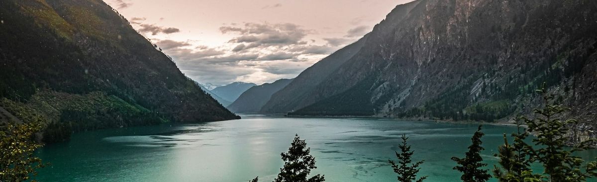 The Great Resignation