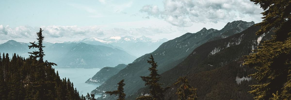 Work from home is here to stay