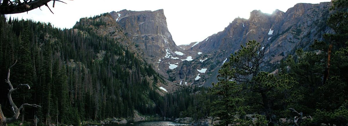 Artificial Intelligence and Group Benefits