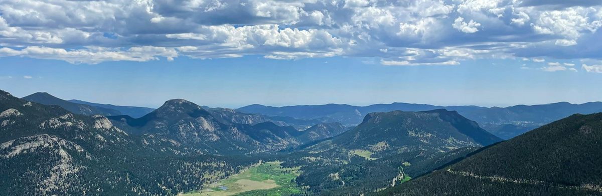 Is "skin in the game" really the answer?