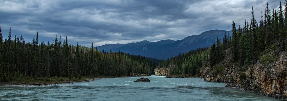 Insurance is NOT like a gift card!